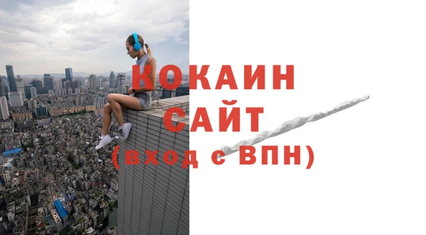 гидра Карпинск