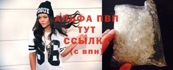 стаф Козловка