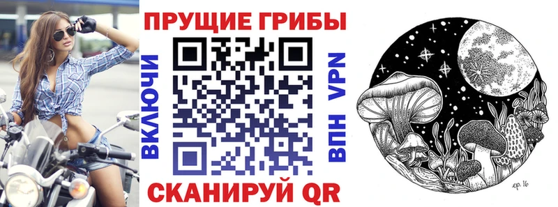Купить где  Мурино  Галлюциногенные грибы прущие грибы 